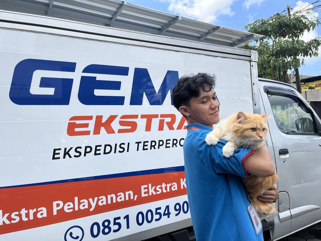 KIRIM HEWAN PELIHARAN